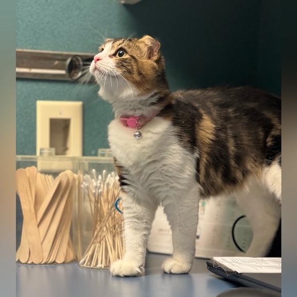 My greatest Blessing is my Family - Picture 13 of 13